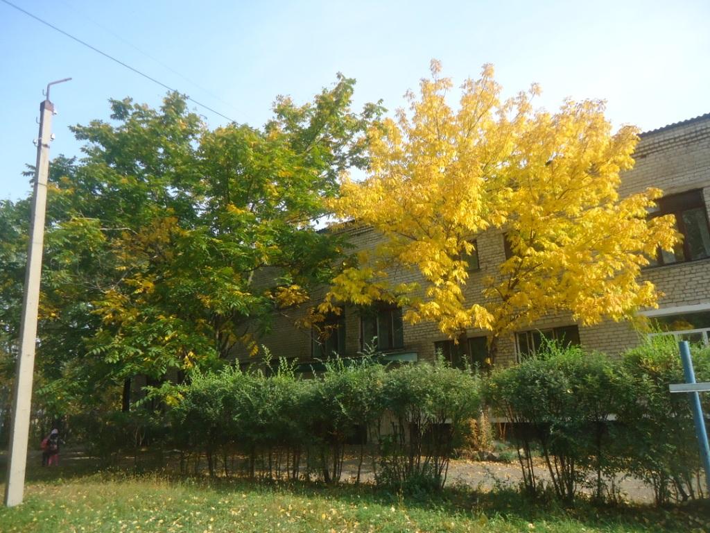 DSC09643